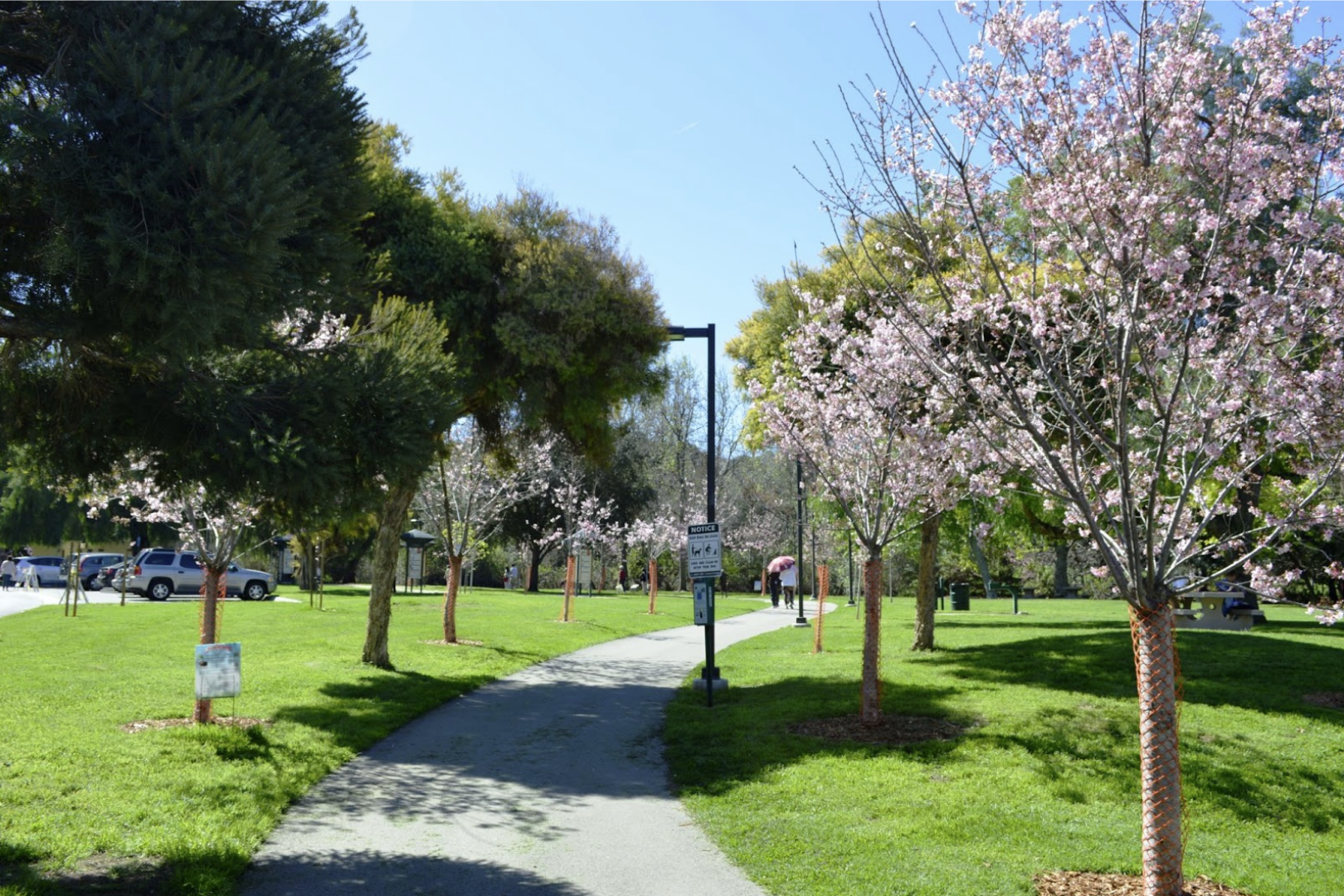 Road by the park and neighborhood